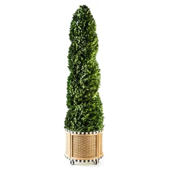 Spring|Greenery & Florals|MacKenzie-Childs Basket Weave Spiral Large Boxwood Topiary