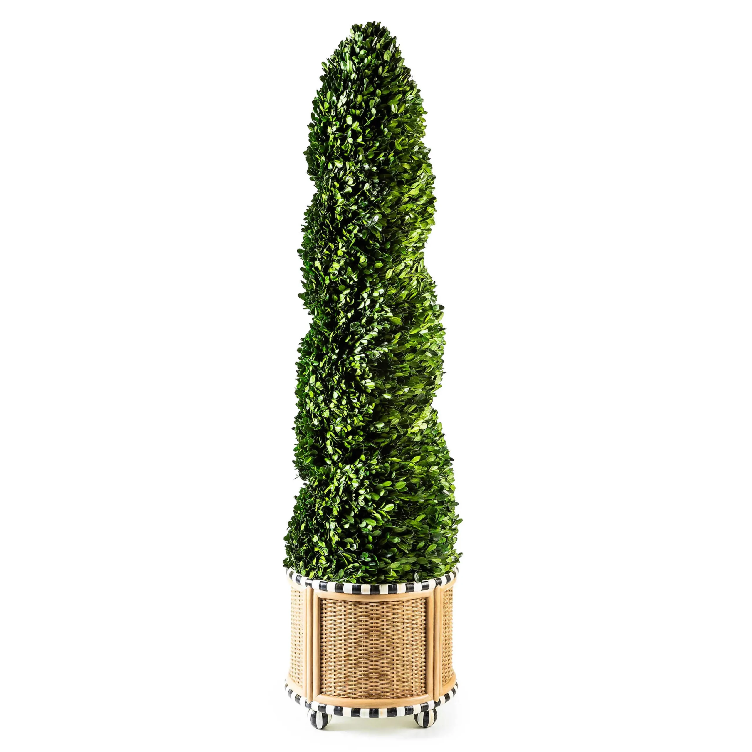 Spring|Greenery & Florals|MacKenzie-Childs Basket Weave Spiral Large Boxwood Topiary