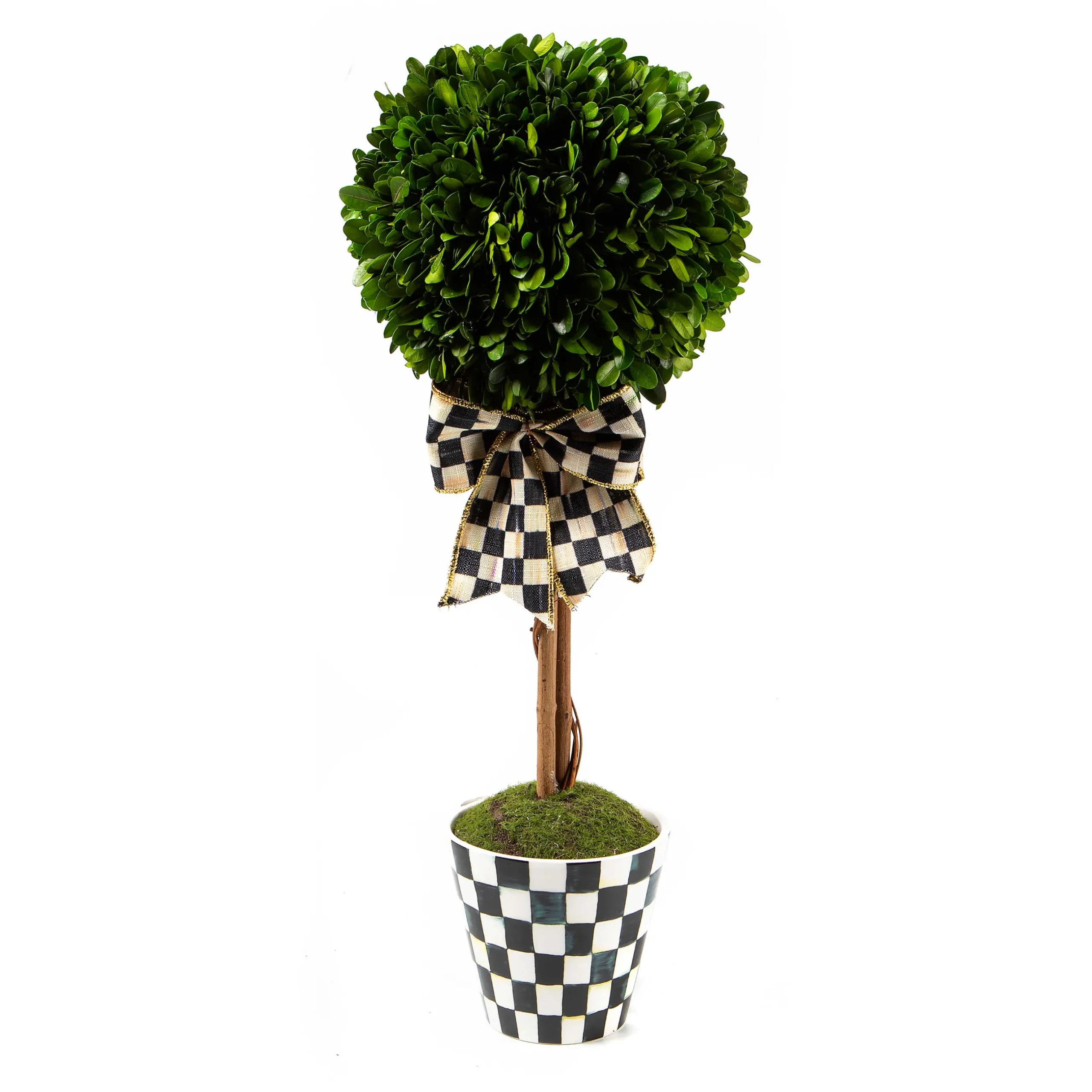 Spring|Greenery & Florals|MacKenzie-Childs Courtly Boxwood Topiary Small Drop In
