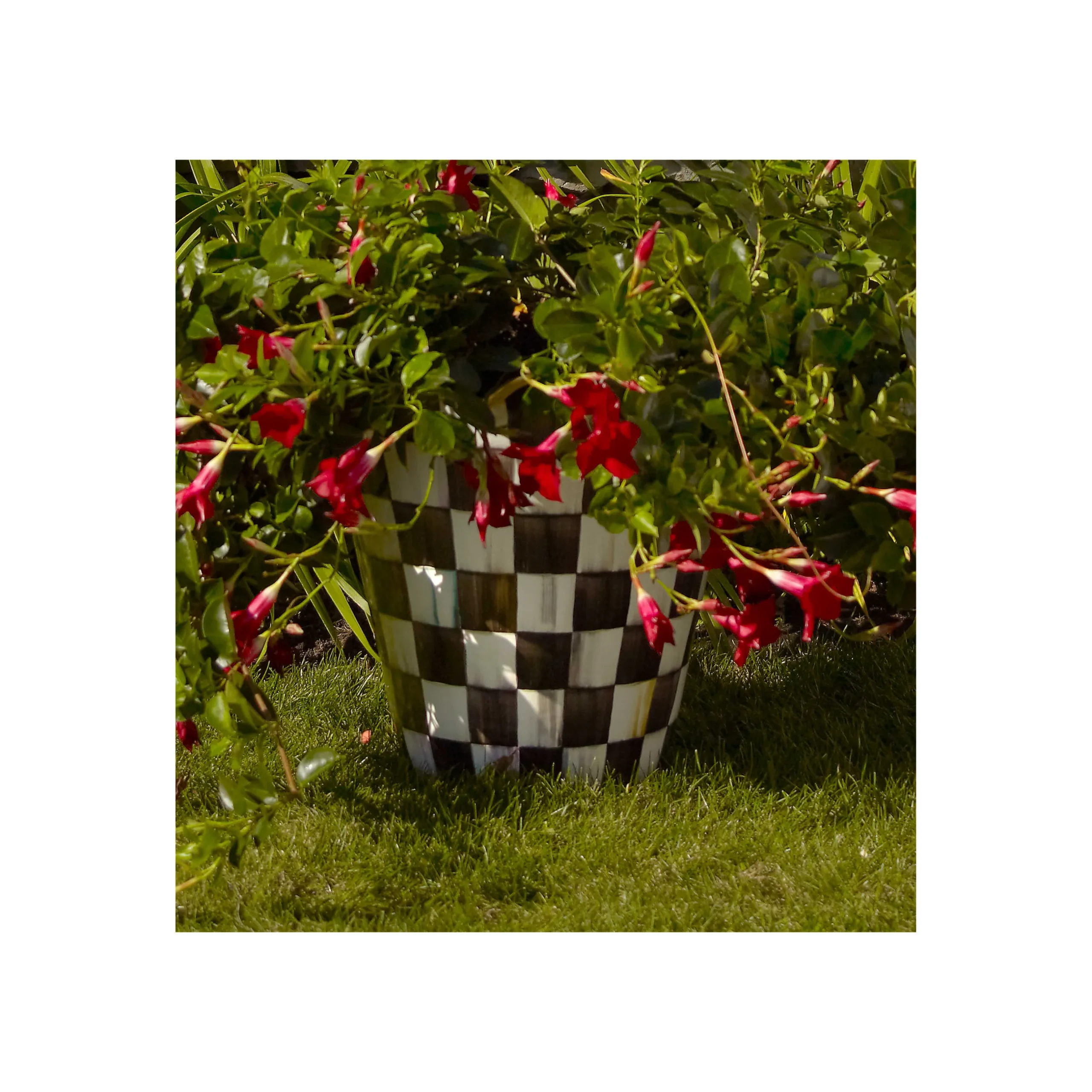 Outdoor|MacKenzie-Childs Courtly Check Ceramic Jumbo Garden Pot