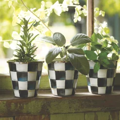 Spring|The Fall Shop|MacKenzie-Childs Courtly Check Herb Pots, Set of 3