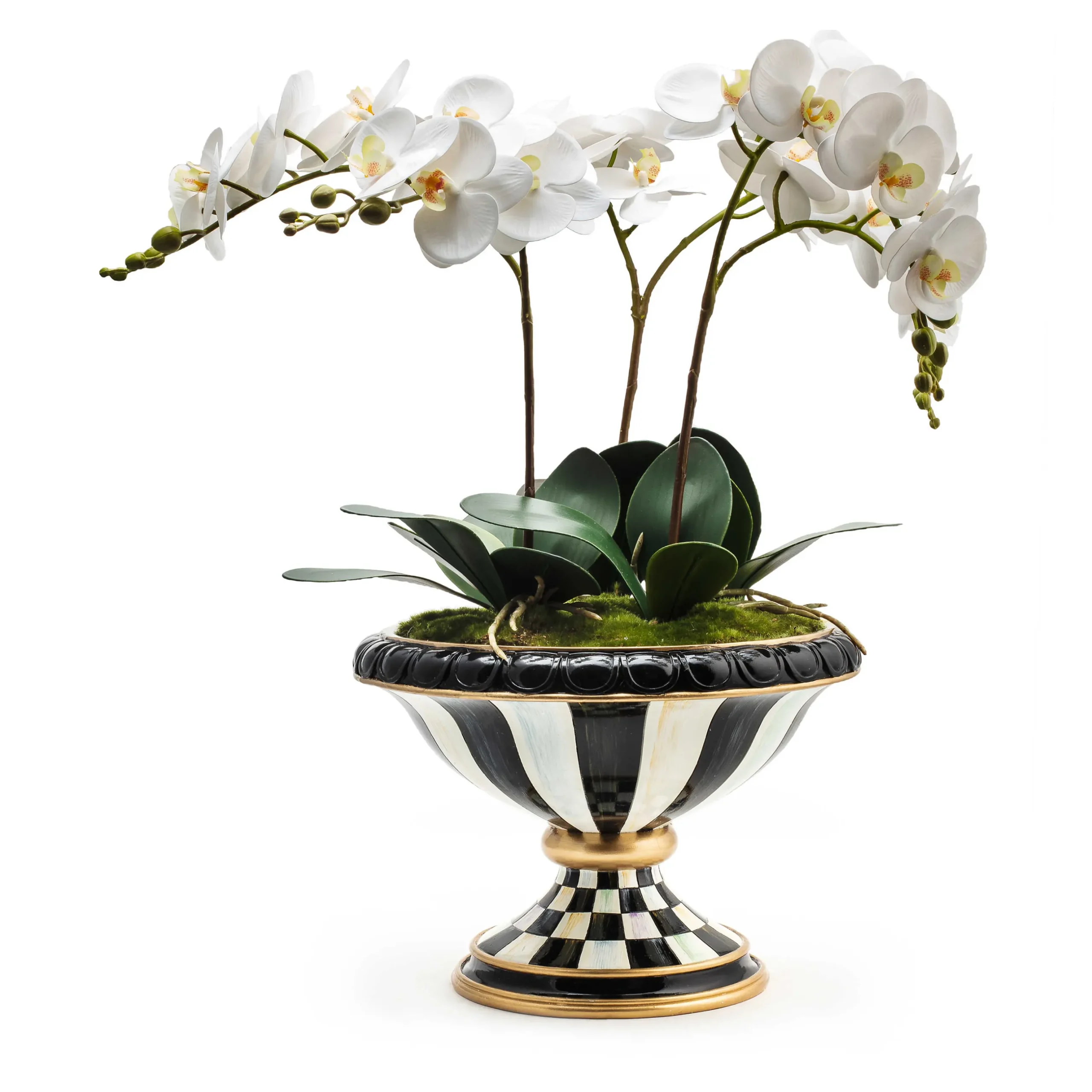 Greenery & Florals|MacKenzie-Childs Courtly Check Orchid Arrangement