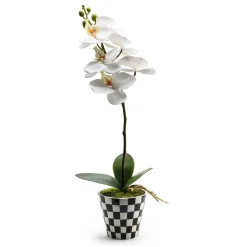 Greenery & Florals|MacKenzie-Childs Courtly Check Orchid Drop In
