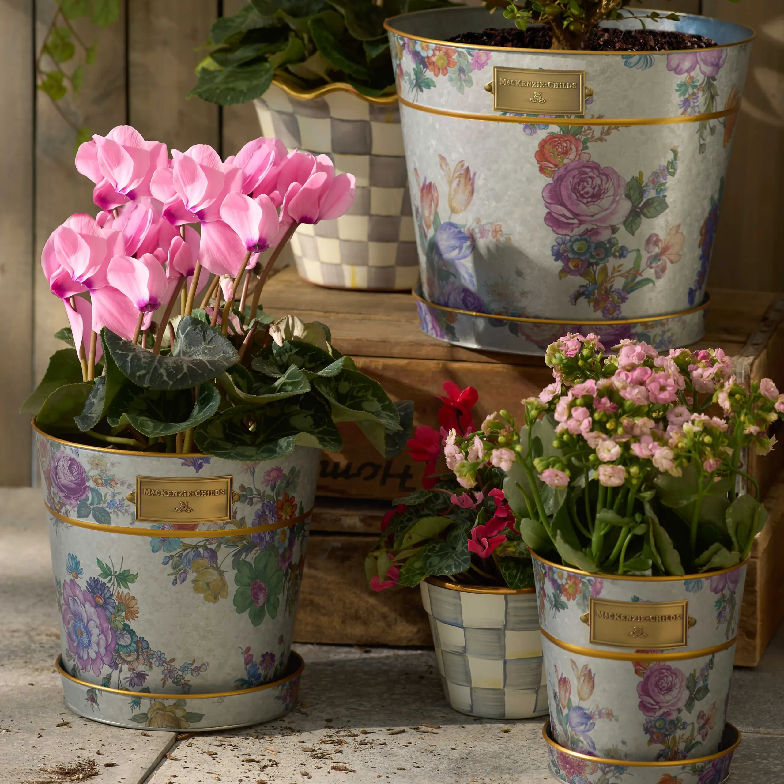 Spring|Greenery & Florals|MacKenzie-Childs Flower Market Pots Saucers, Set of 3