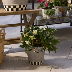 Spring|Greenery & Florals|MacKenzie-Childs Maia Small Pot