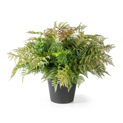 Spring|Greenery & Florals|MacKenzie-Childs Potted Large Fern With Bee
